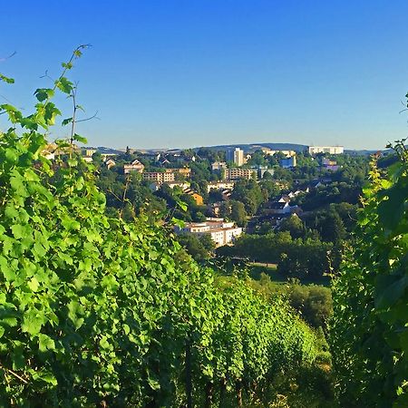 Schroeders Wein-Style-Hotel Trier Kültér fotó