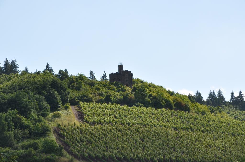 Schroeders Wein-Style-Hotel Trier Kültér fotó