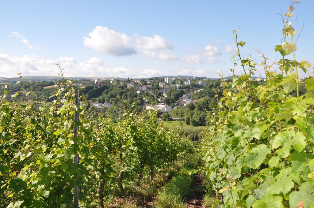 Schroeders Wein-Style-Hotel Trier Kültér fotó