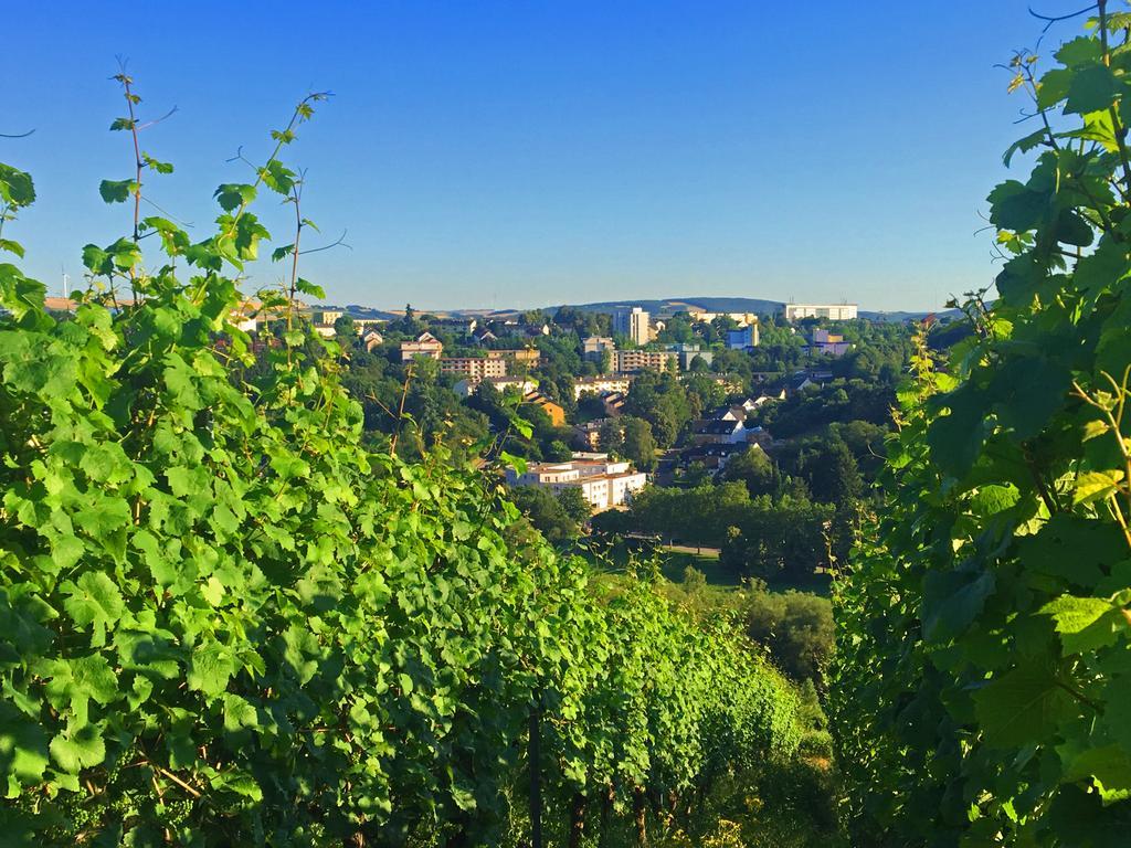 Schroeders Wein-Style-Hotel Trier Kültér fotó