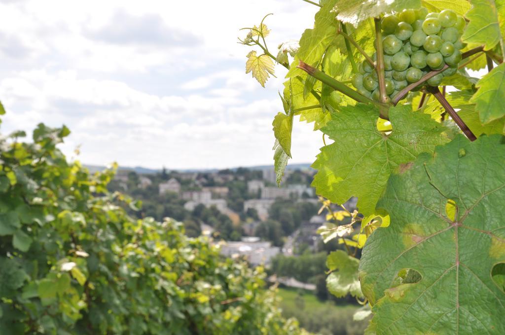Schroeders Wein-Style-Hotel Trier Kültér fotó