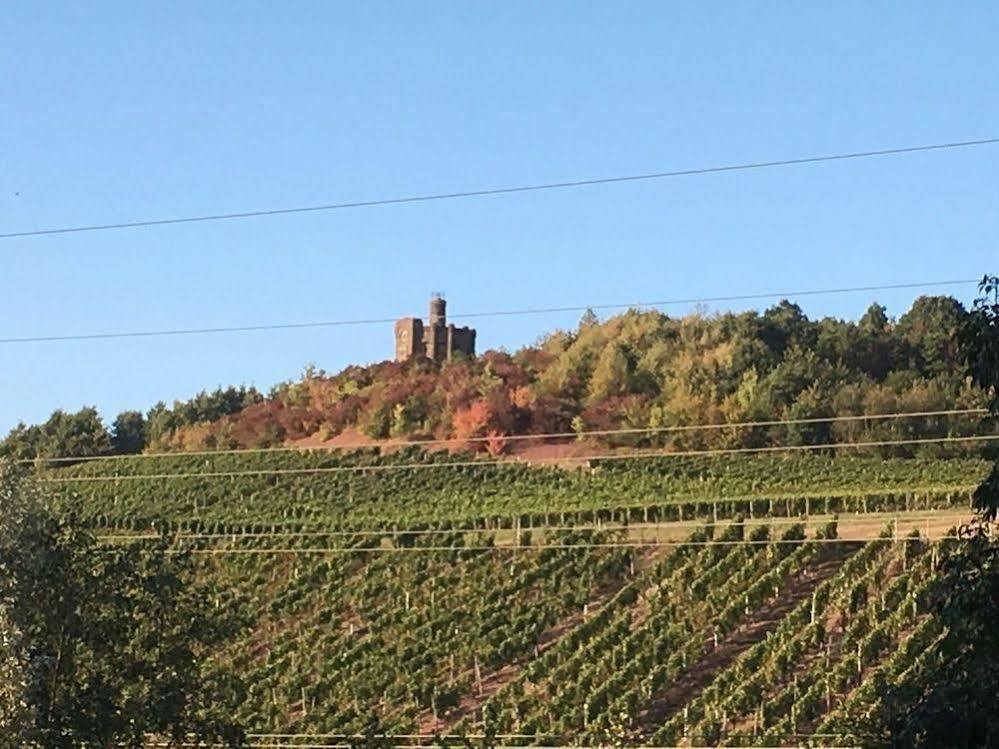 Schroeders Wein-Style-Hotel Trier Kültér fotó